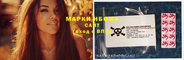 ГАЛЛЮЦИНОГЕННЫЕ ГРИБЫ Алзамай