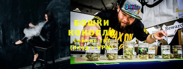 ГАЛЛЮЦИНОГЕННЫЕ ГРИБЫ Алзамай