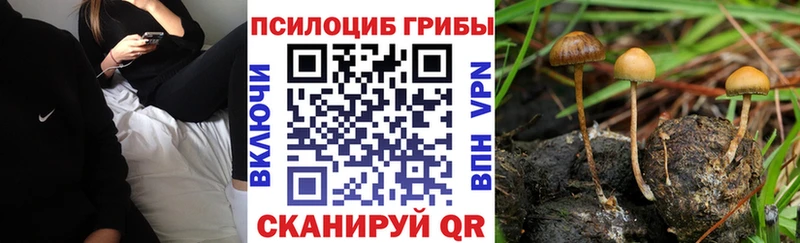 Псилоцибиновые грибы GOLDEN TEACHER  kraken   Чебоксары  наркошоп 