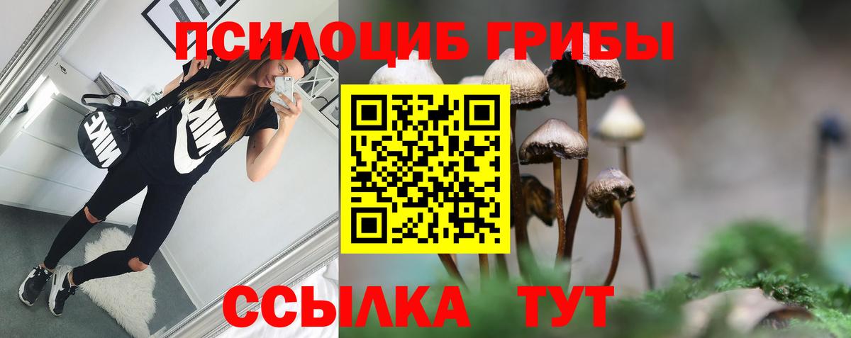 Галлюциногенные грибы ЛСД  Вход с VPN  Чебоксары 